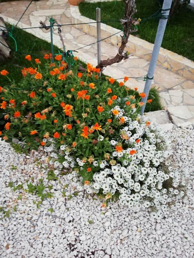 Apartmani Poljanec Vir Esterno foto